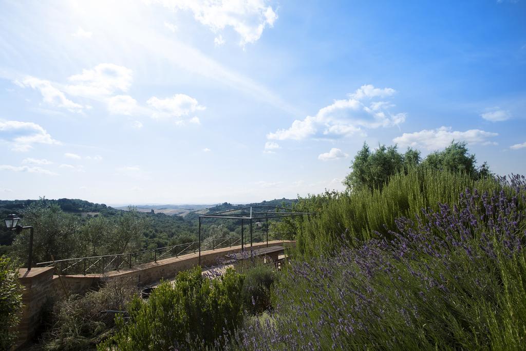 Вілла Casa Sandro A Podere Pascianella Castelmuzio Номер фото